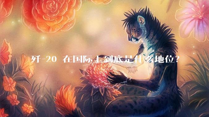 歼-20 在国际上到底是什么地位？