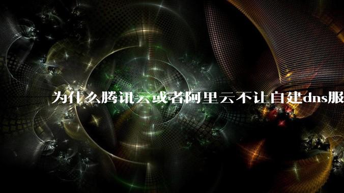 为什么腾讯云或者阿里云不让自建dns服务器?