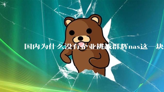 国内为什么没有企业挑战群辉nas这一块市场？